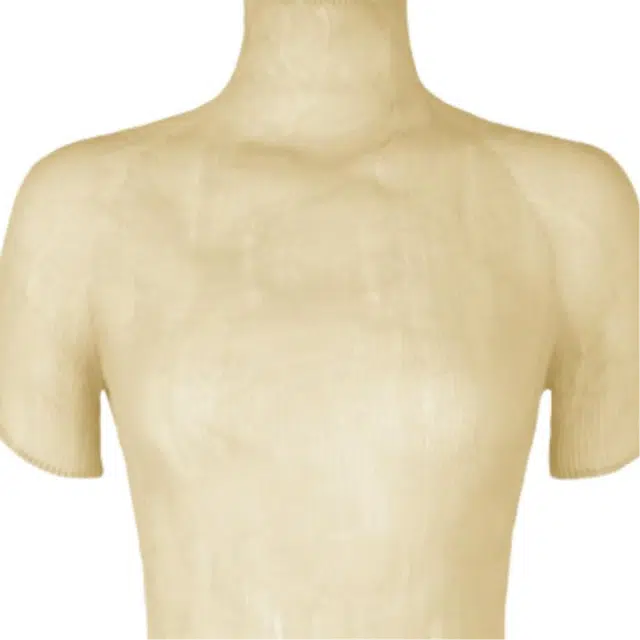 ISSEY MIYAKE T