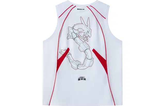 VEIDOORN x POKEMON