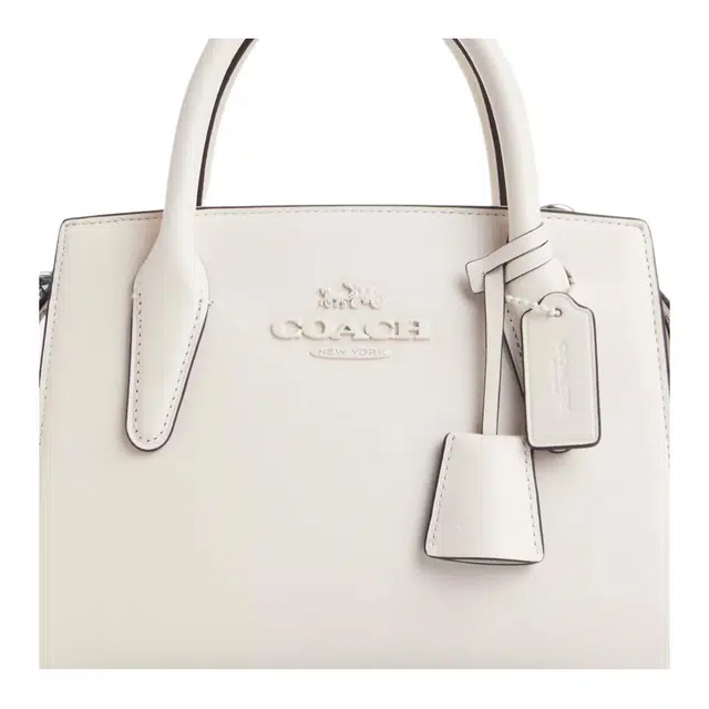 COACH Andrea Carryall