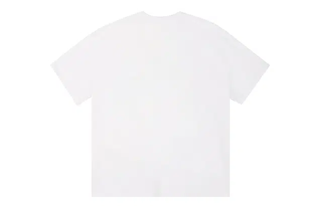 ICONS Lab ICS T