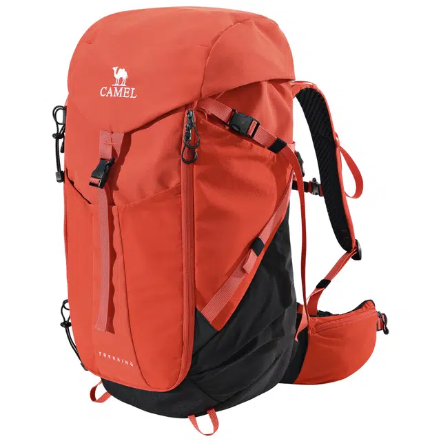 CAMEL33L