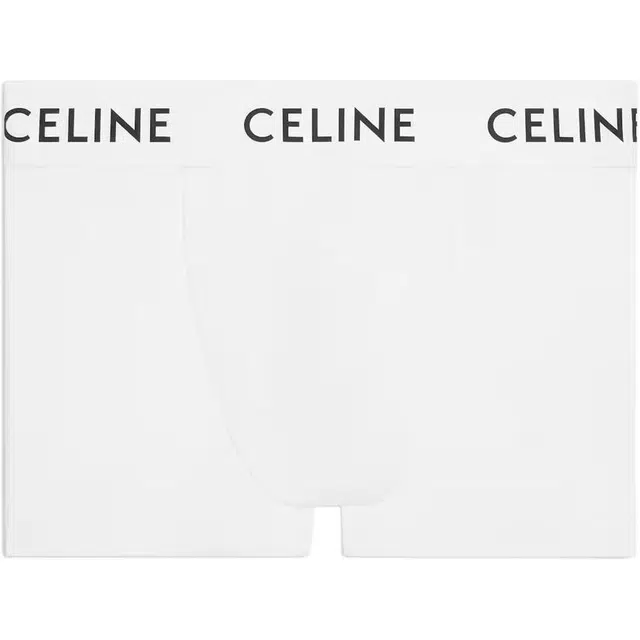CELINE FW22 Logo 1