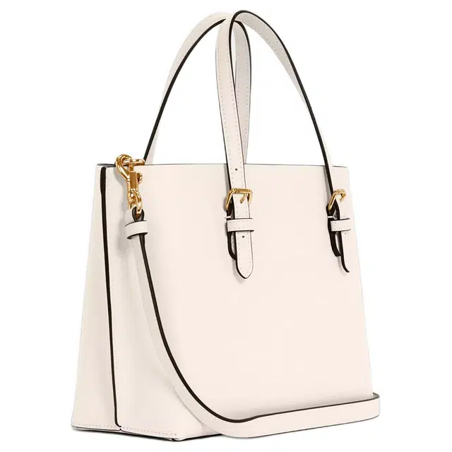 COACH Mollie 25 Tote