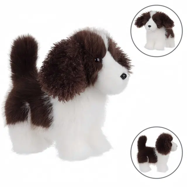 APRICOT LAMB 26cm
