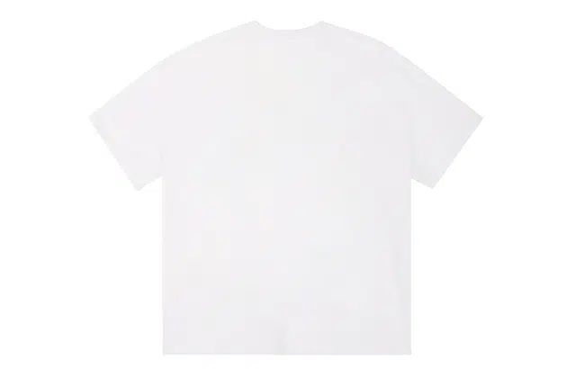 ICONS Lab ICS T