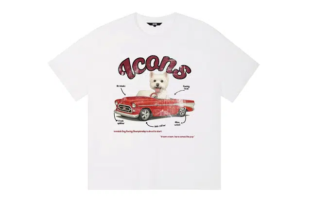ICONS Lab ICS T
