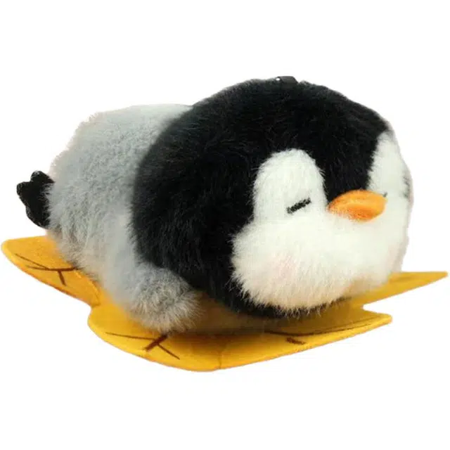 Brangdy 13cm