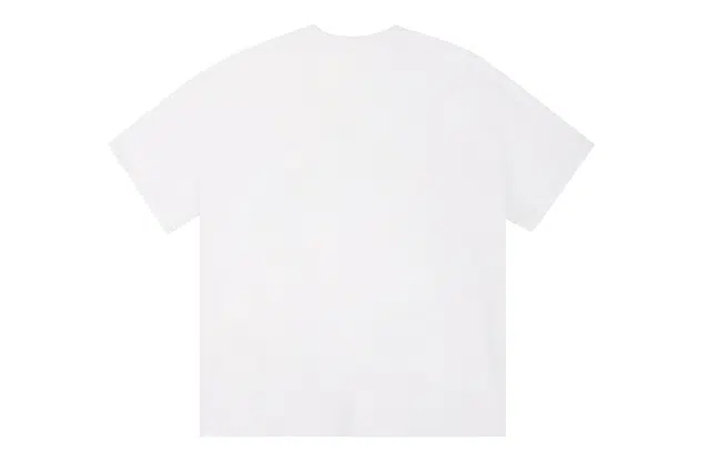 ICONS Lab ICS T