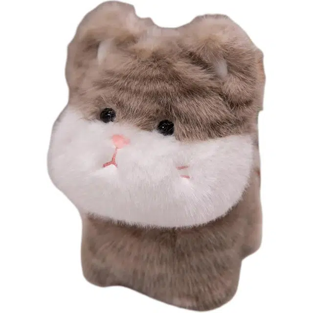20cm30cm