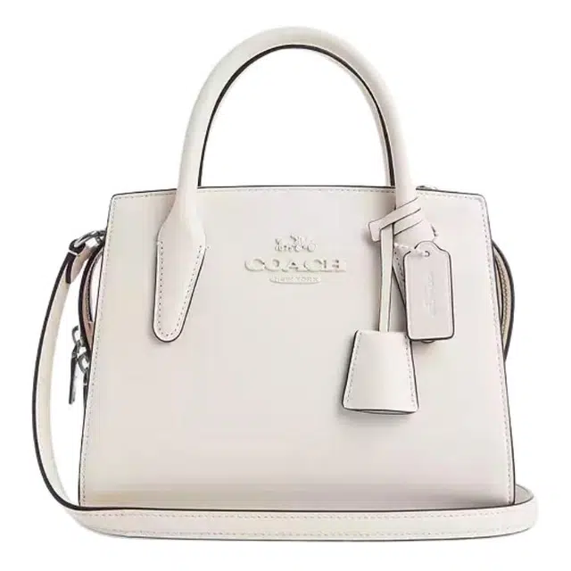 COACH Andrea Carryall