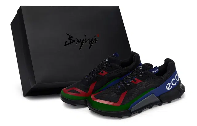 ecco BIOM 2.1 X COUNTRY 811