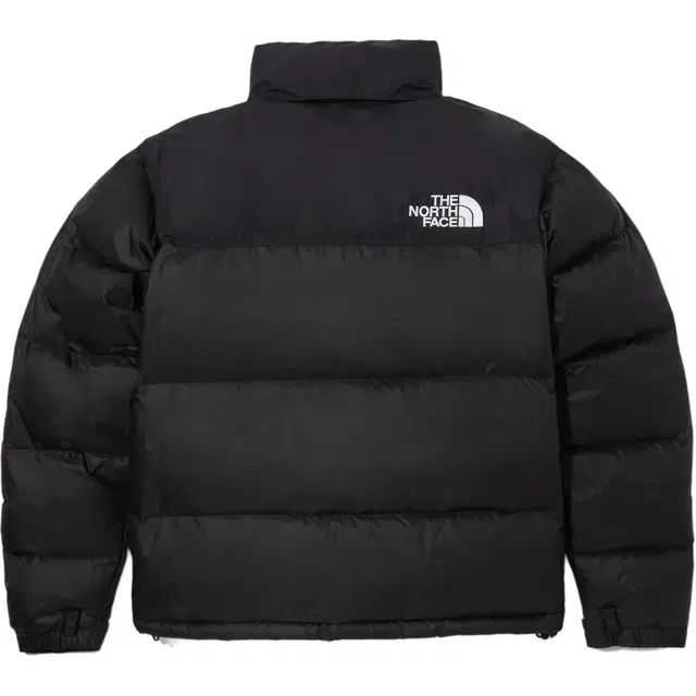 THE NORTH FACE 1996 M'S ECO NUPTSE JACKET