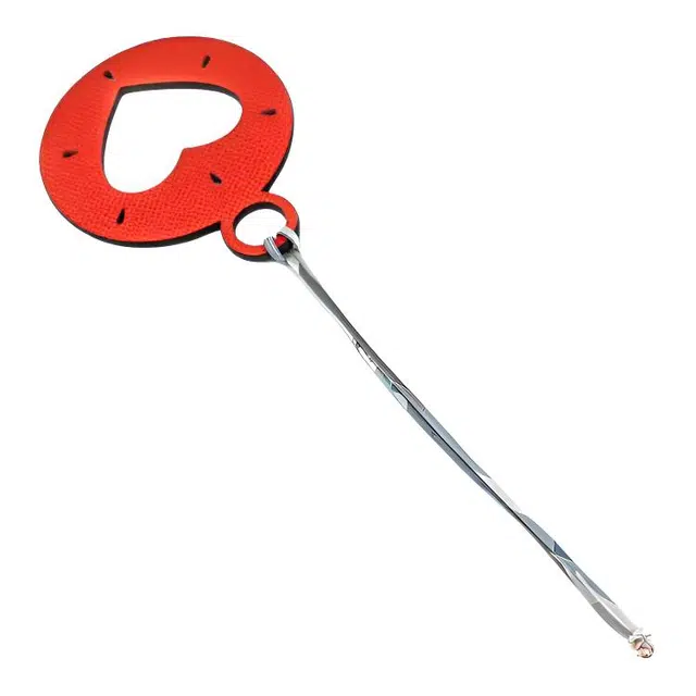 HERMES Charm cur