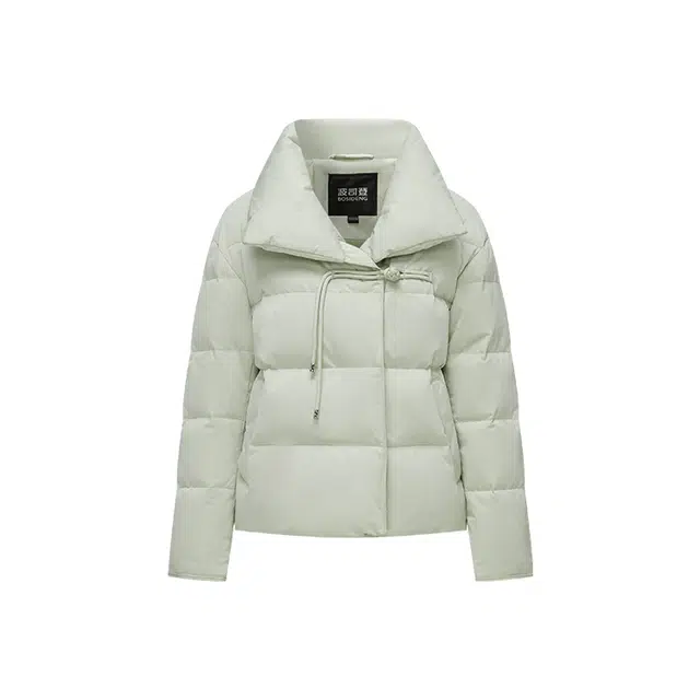 波司登 盘扣鹅绒冬季常规长袖通勤羽绒服 女款