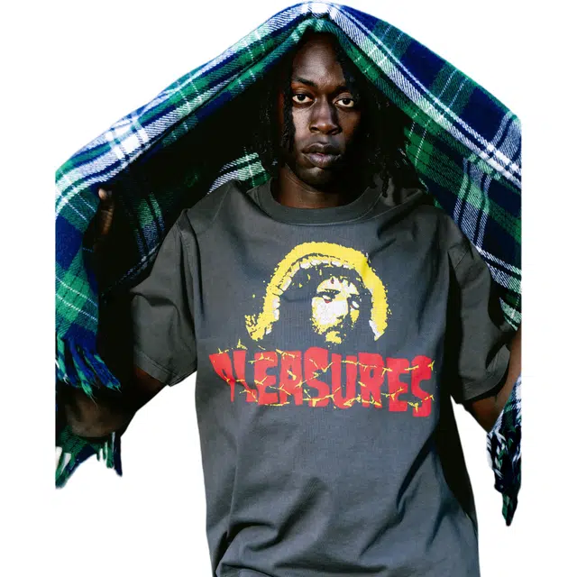 PLEASURES T