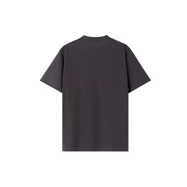 BASIC HOUSE T