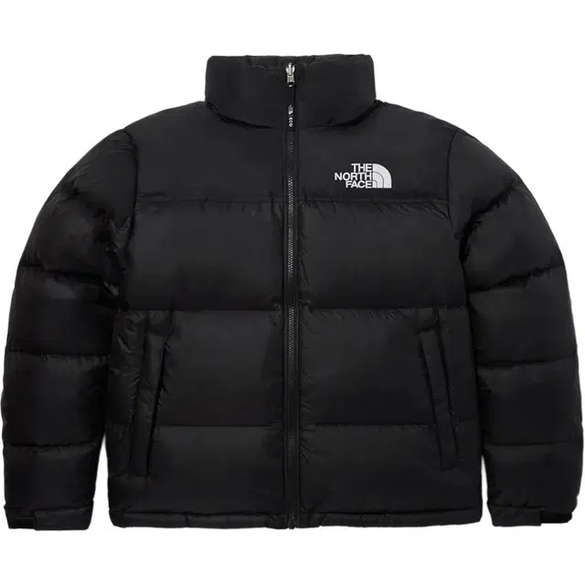 THE NORTH FACE 1996 M'S ECO NUPTSE JACKET