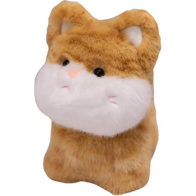 20cm30cm