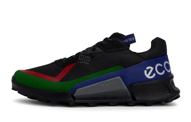 ecco BIOM 2.1 X COUNTRY 811