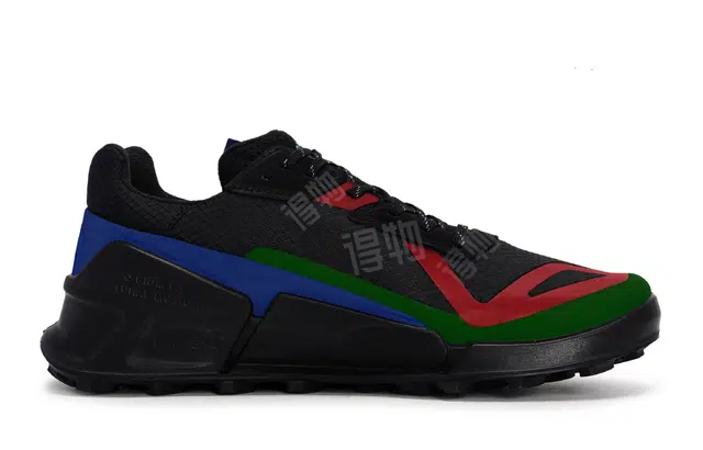 ecco BIOM 2.1 X COUNTRY 811