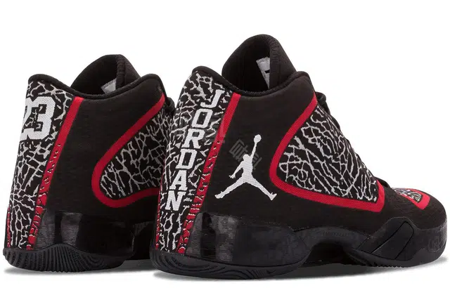 Jordan Air Jordan 29