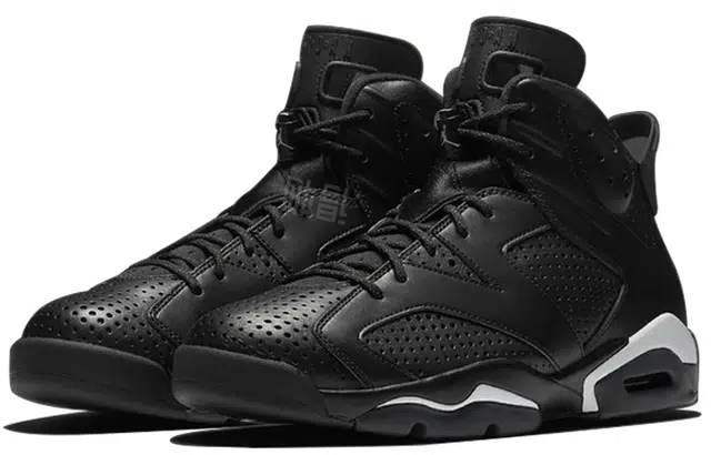 Jordan Air Jordan 6 Retro "Black Cat"
