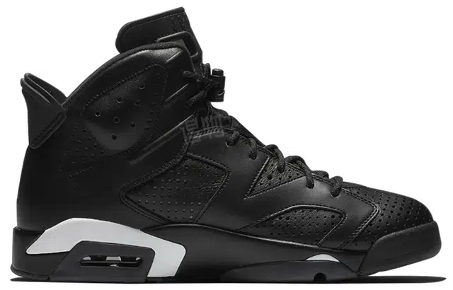 Jordan Air Jordan 6 Retro "Black Cat"