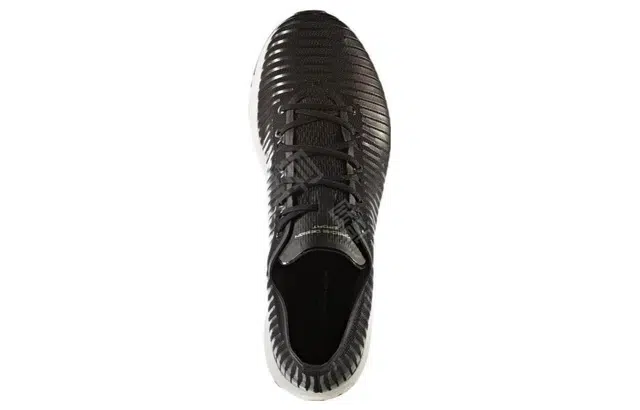 adidas Endurance 2.0 Porsche Design Black Metallic