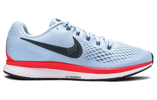 Nike Pegasus 34