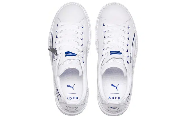 ADER ERROR x PUMA Platform Trace