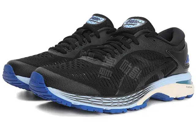 Asics Gel-Kayano 25