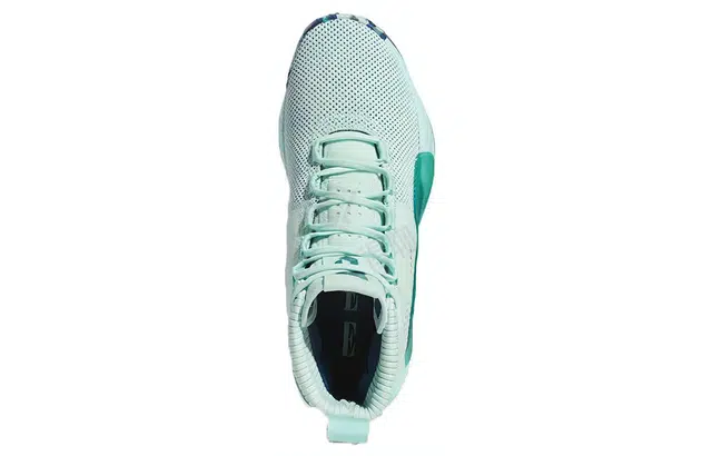 adidas D lillard 5