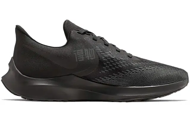 Nike Zoom Winflo 6