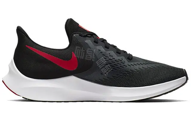 Nike Zoom Winflo 6