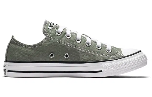Converse Chuck Taylor All Star Seasonal Color Low Top