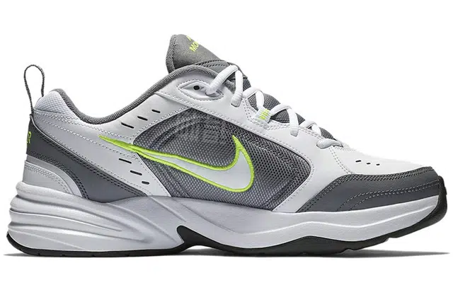 Nike Air Monarch 4 Cool Grey