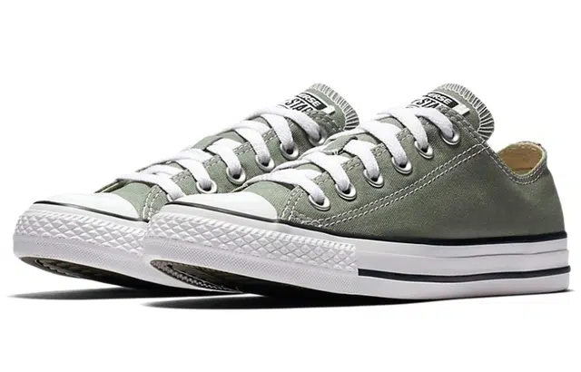 Converse Chuck Taylor All Star Seasonal Color Low Top