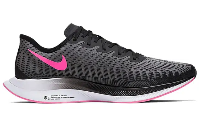 Nike Pegasus turbo 2