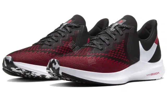 Nike Zoom Winflo 6