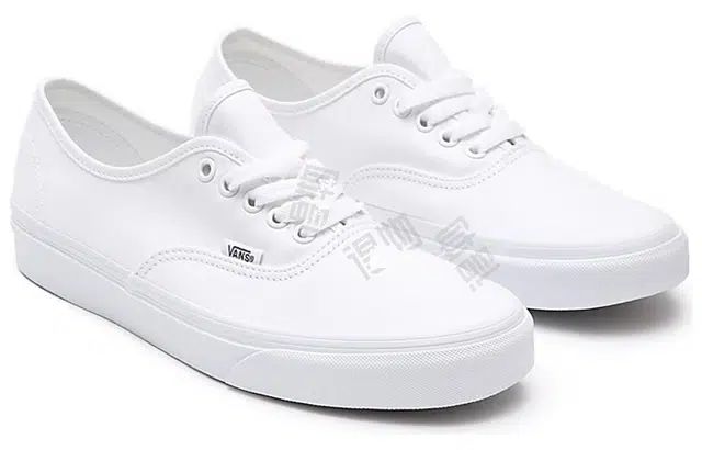 Vans Authentic True White