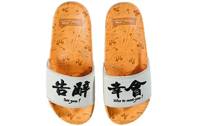 Ln Slippe x LiNing