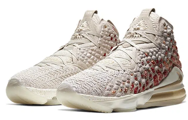 Nike Lebron 17