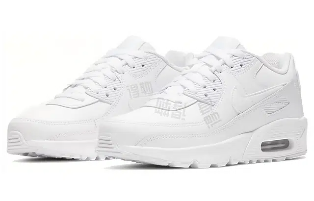 Nike Air Max 90 LTR GS