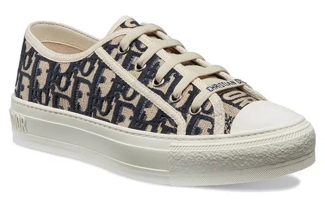 DIOR Walk'n'Dior Oblique