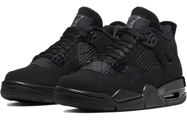 Jordan Air Jordan 4 2020