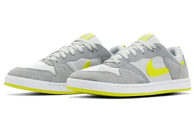 Nike SB Alleyoop