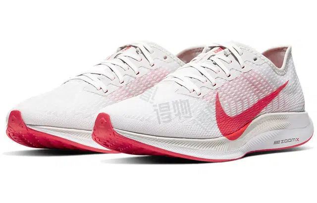 Nike Pegasus turbo 2
