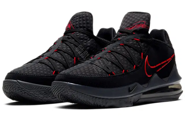 Nike Lebron 17