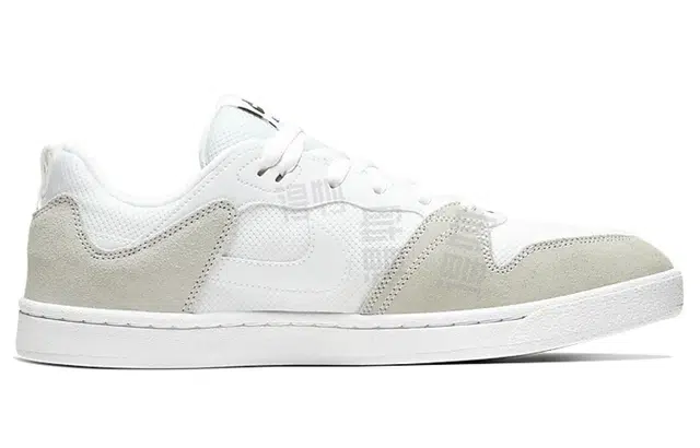 Nike SB Alleyoop