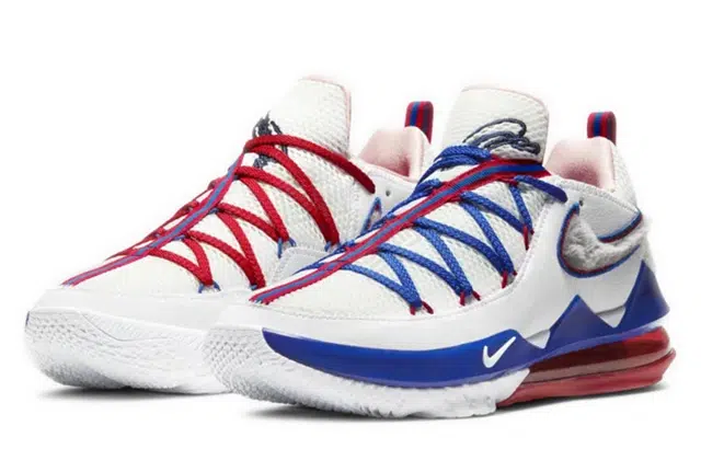 Nike Lebron 17